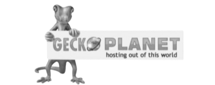 Hosting Company
