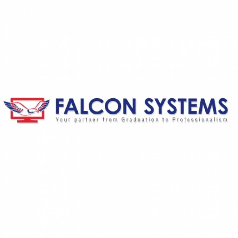 Falcon Systems